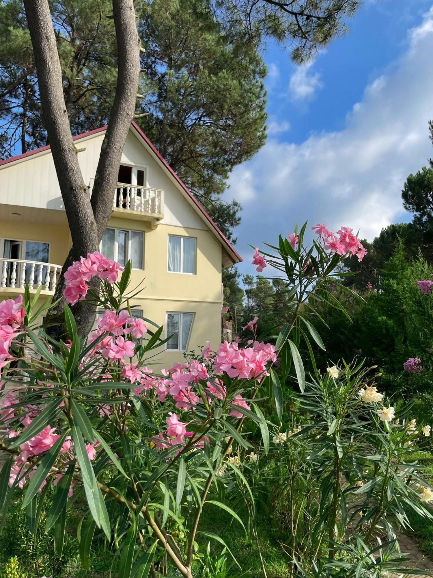 Kaprovani Villa 22 Šekvetili Exteriér fotografie