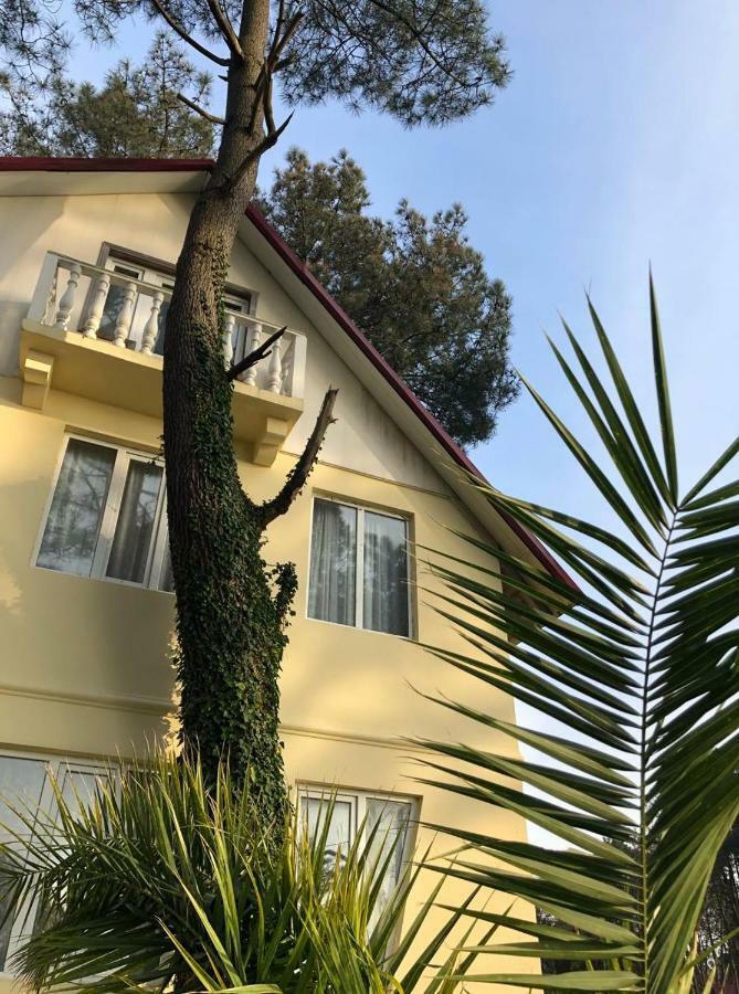 Kaprovani Villa 22 Šekvetili Exteriér fotografie